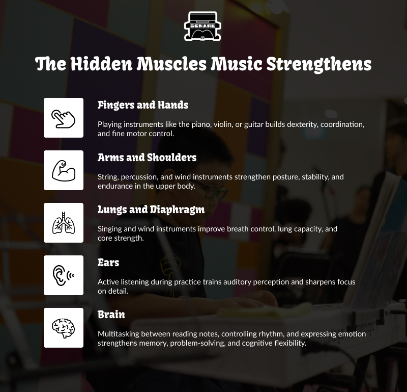 Infographic: The hidden muscles music strengthens.